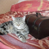 Photo de profil de Capucin