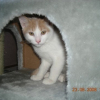 Photo de Pépito