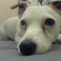 Photo de profil de Kia