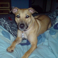 Photo de profil de Roxy