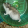 Photo de Smudge