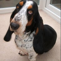 Photo de profil de Millie