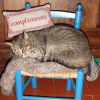 Photo de Shalom