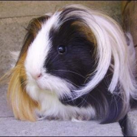 Photo de profil de Mya