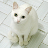 Photo de Cherry 