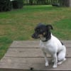 Photo de Eddie