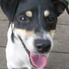 Photo de Lucky