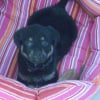 Photo de Lilou