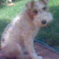 Photo de profil de Maya