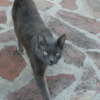Photo de Ubu