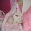 Photo de Natacha