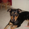 Photo de Cymba
