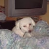 Photo de Spike