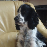 Photo de profil de Gary