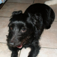 Photo de profil de Rox
