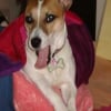 Photo de Tifa