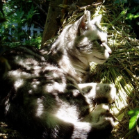 Photo de profil de Orage