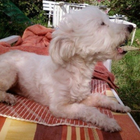 Photo de profil de Jazz