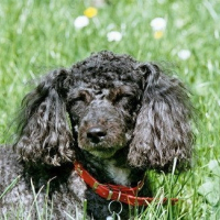 Photo de profil de Neva