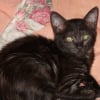 Photo de Toulouse