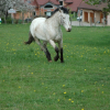 Photo de Gamin