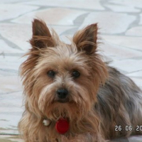 Photo de profil de Lara