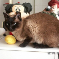 Photo de profil de Charline