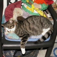 Photo de profil de Maxou