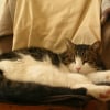 Photo de Yumba 