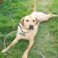 Photo de profil de Lu