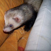 Photo de profil de Winnie