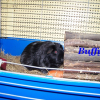Photo de Buffy