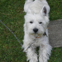 Photo de profil de Croquette bebe a maman