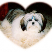 Photo de profil de Zenzy