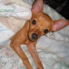 Photo de Barbie