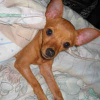 Photo de profil de Barbie