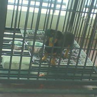 Photo de profil de Poppy james potter