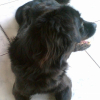 Photo de Lala