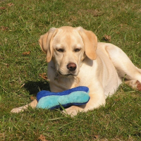 Photo de profil de Dora