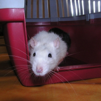 Photo de profil de Bounty