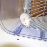 Photo de profil de Takumi