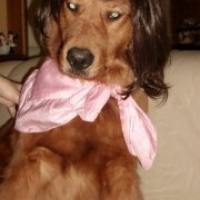 Photo de profil de Cleo