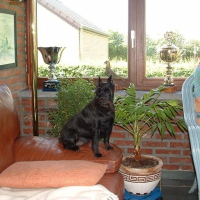 Photo de profil de Uska