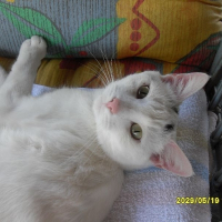 Photo de profil de Picsou