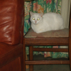 Photo de Mitsy