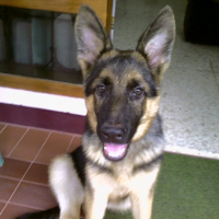 Photo de profil de Alto von victoria haush