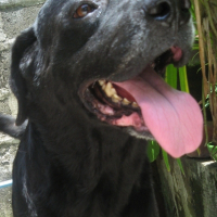 Photo de profil de Buster