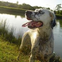 Photo de profil de Kiara
