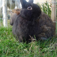 Photo de profil de Patxi