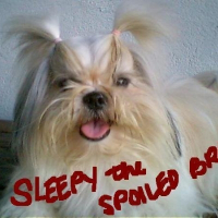 Photo de profil de Sleepy